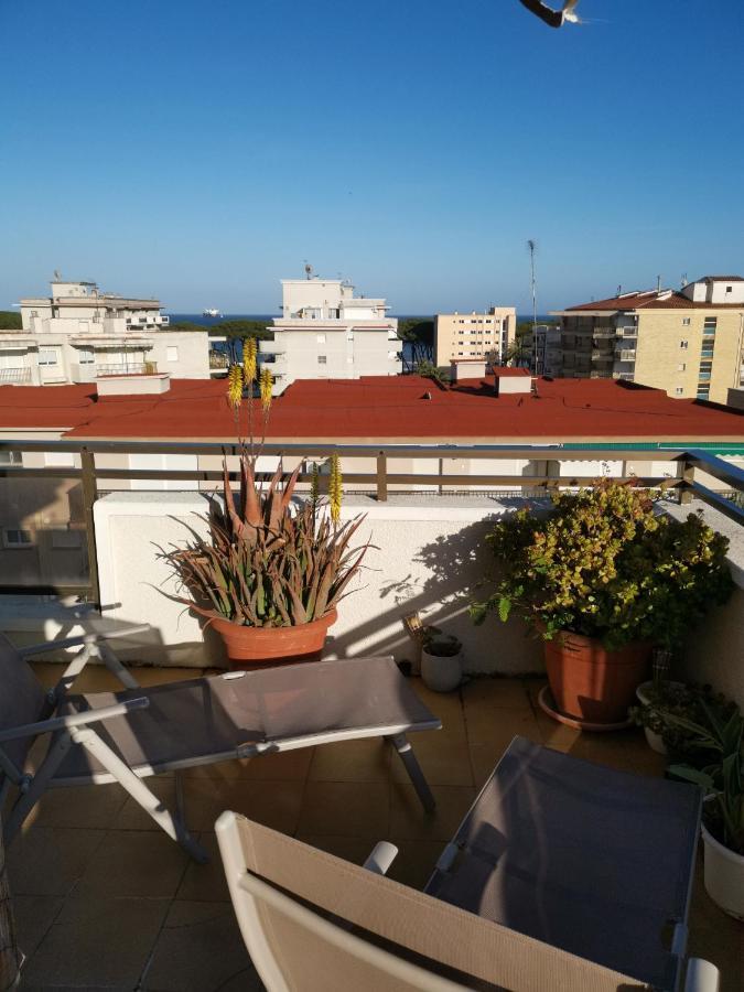 Pina Beach Holidays La Pineda Ngoại thất bức ảnh